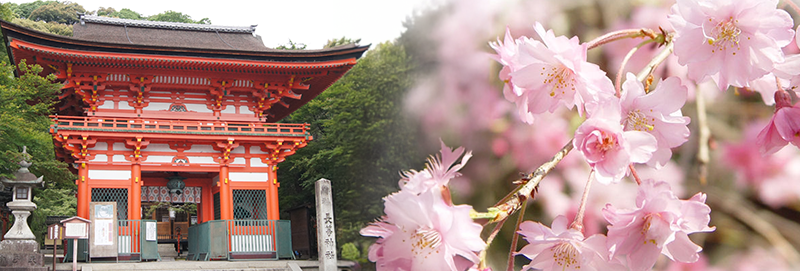 メインビジュアル1