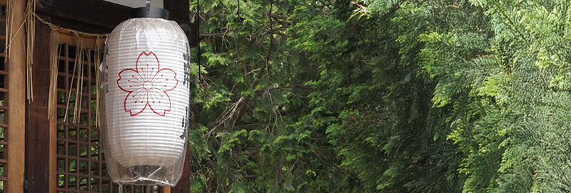 メインビジュアル3