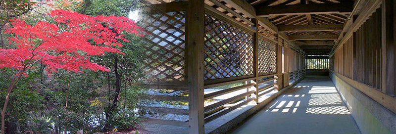 メインビジュアル4