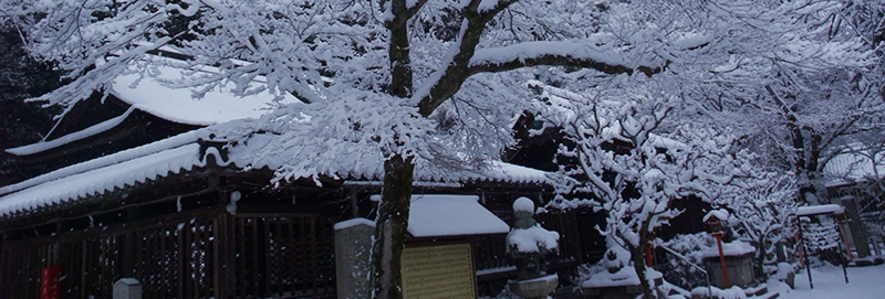 メインビジュアル5